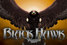 Black Hawk